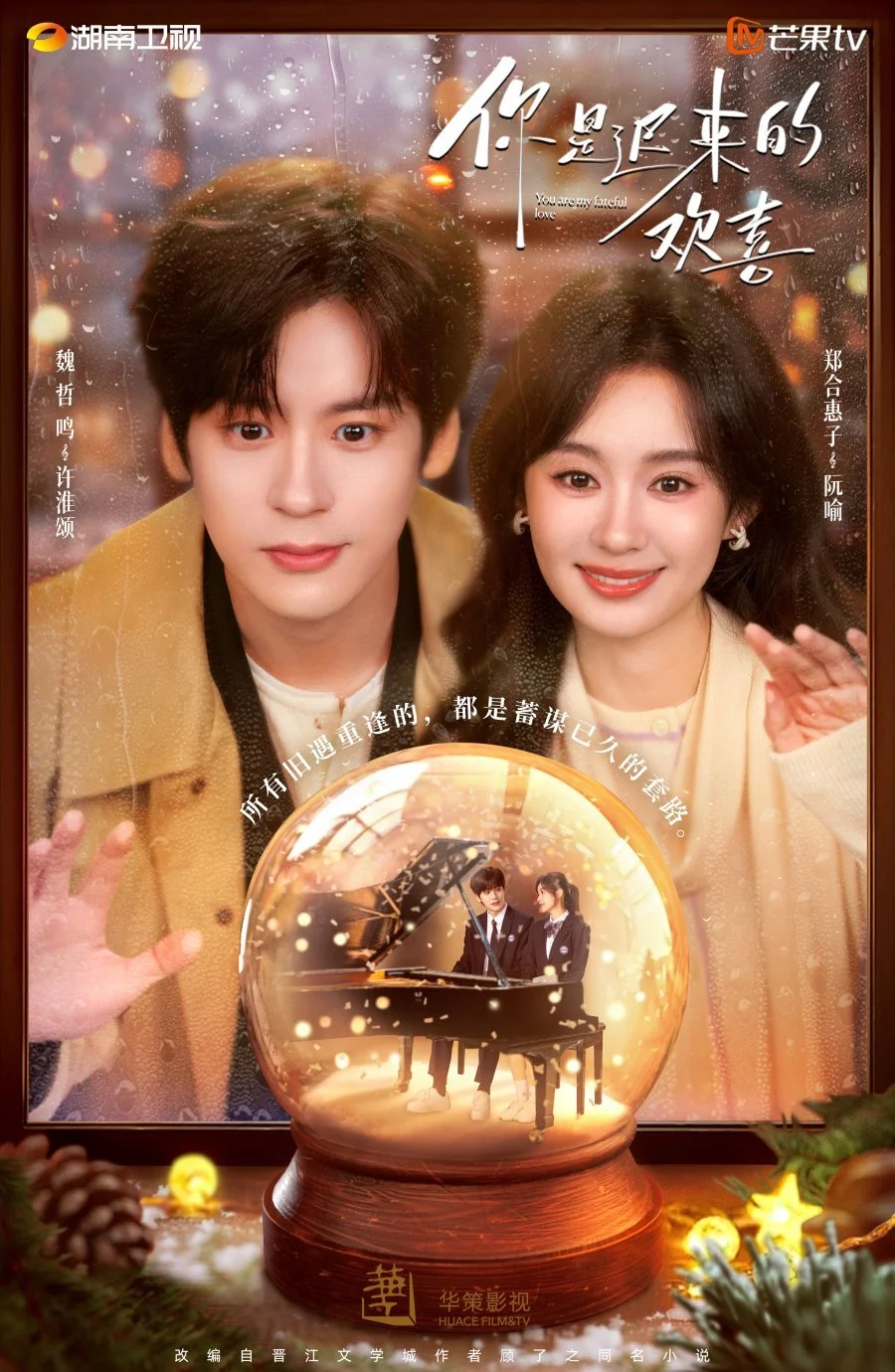 Ты — моя запоздалая радость - главный постер